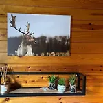 The Wooden Whisper