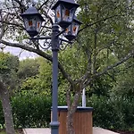 The Wooden Whisper * دربي